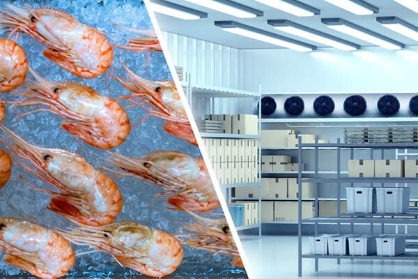Fish Processing